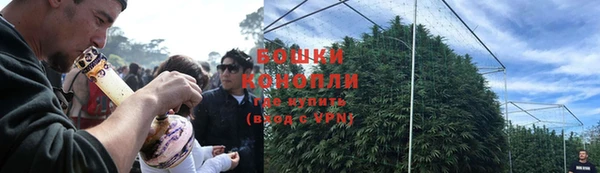 дурь Елизово