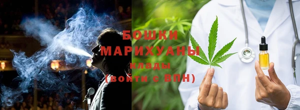 крисы Ельня