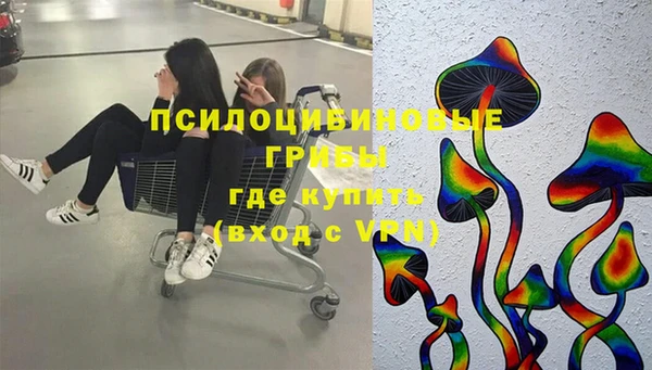дурь Елизово