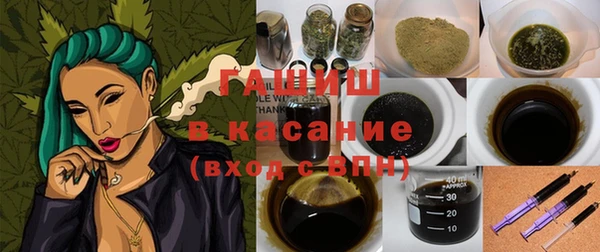 крисы Ельня