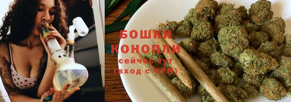 крисы Ельня