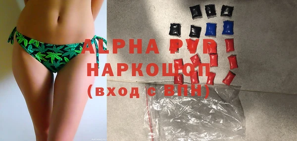 крисы Ельня