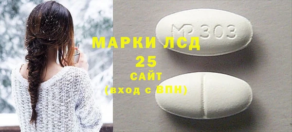 крисы Ельня