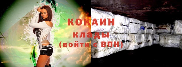крисы Ельня