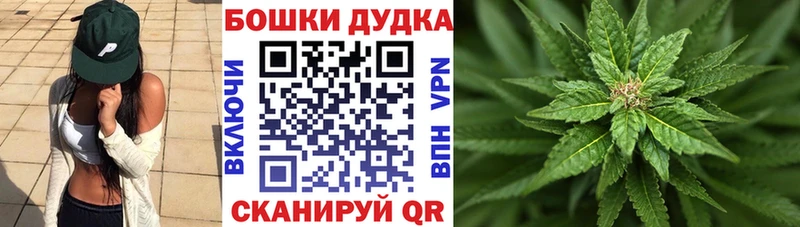 Купить где Севск Шишки марихуана White Widow